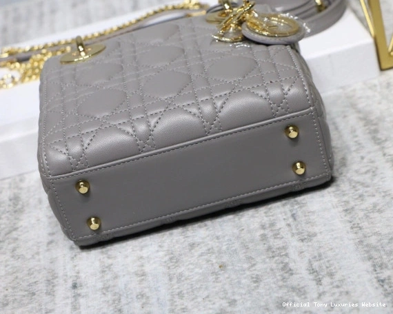 Tony Luxuries Lambskin With Lady diro Mini 0810